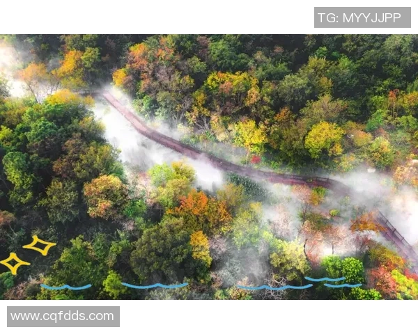 探索阿克的历史与文化魅力揭示这座城市的独特风情与人文底蕴